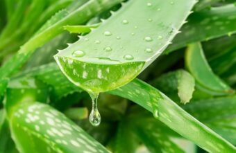 Gel aloe vera: 7 beneficii uimitoare