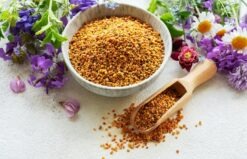 Polen crud: beneficii, proprietăți, cum se ține cura cu polen crud