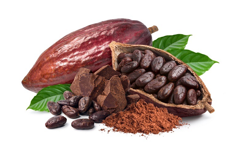 Cacao: beneficii, proprietăți, tipuri