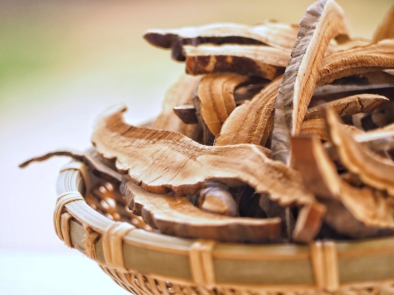 Ciuperca Ganoderma Lucidum: beneficii pentru sănătate și sprijin în tratamentul obezității