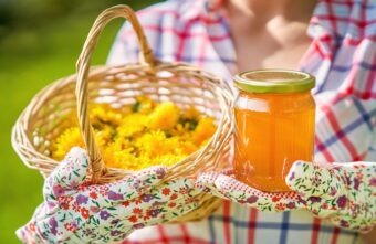 Sirop de păpădie: cum se consumă și ce beneficii are