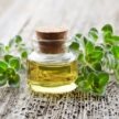 Cele mai importante 10 beneficii ale uleiului de oregano