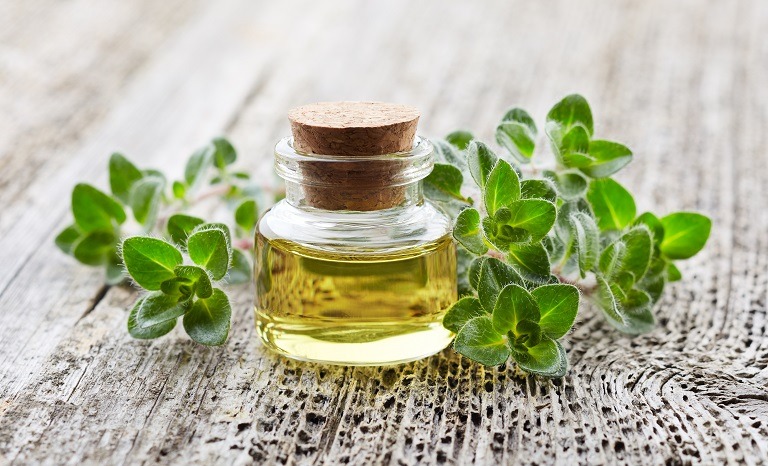 Cele mai importante 10 beneficii ale uleiului de oregano