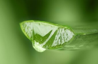 7 beneficii surprinzătoare ale consumului de suc de aloe vera
