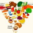 Revoluție în Nutriție: SUA răstoarnă vechea piramidă alimentară în 2026