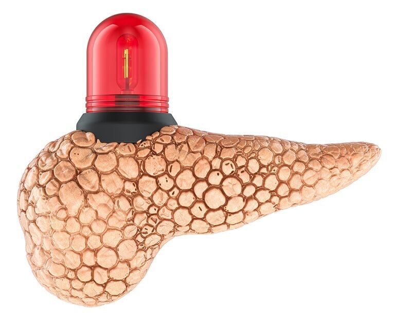 Pancreas gras: cauze, factori de risc, alimente recomandate