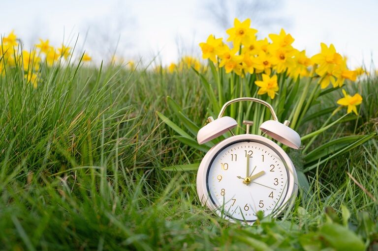 Cum îți pot îmbunătăți sănătatea 20 de minute petrecute în natură