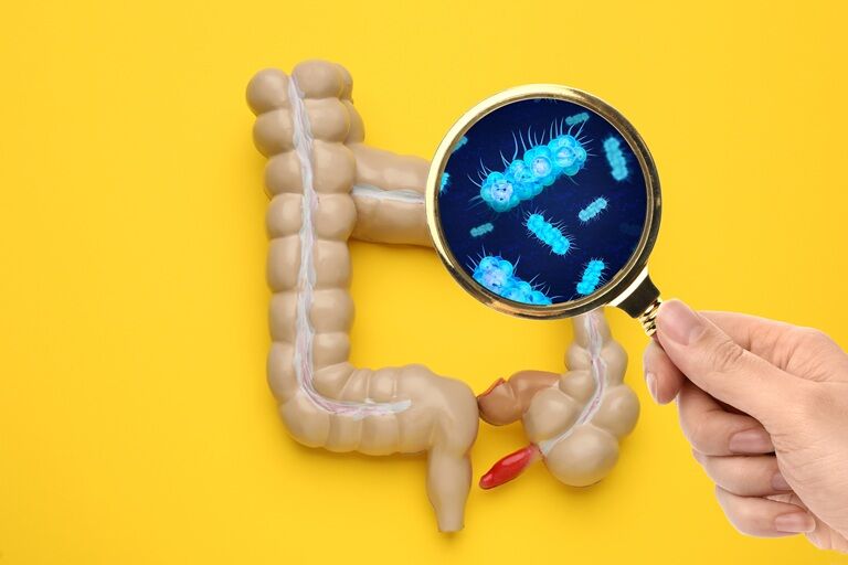 Disbioza intestinală: ce este, ce cauze are, cum se manifestă, care este alimentația corectă